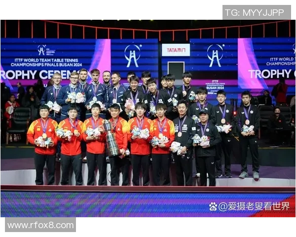 成都乒乓球队实力分析与大满贯赛事表现全面点评